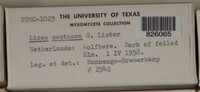 Image Associated With the Occurence